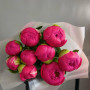 9 коралловых пионов фото 4