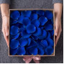 Лепестки синих роз фото 2